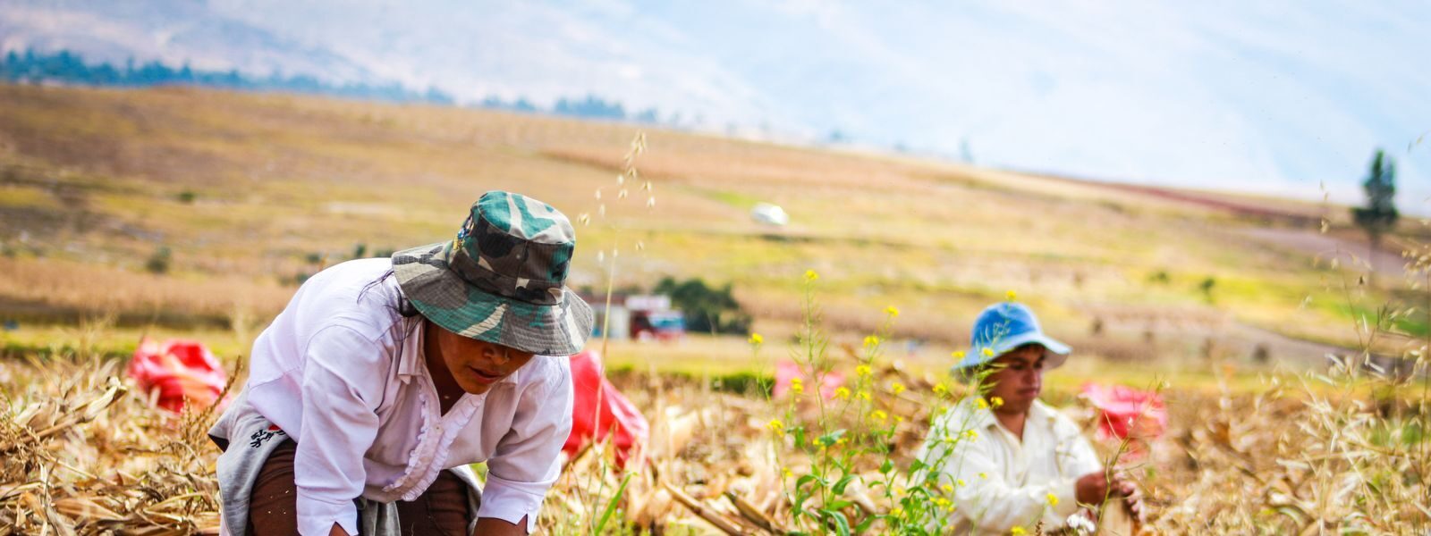 Agri banner